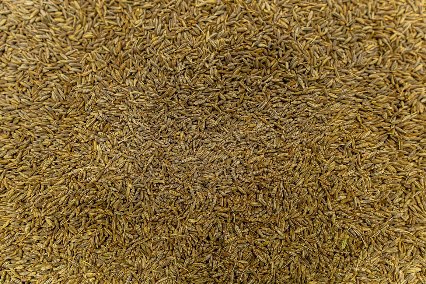 Cumin Seeds